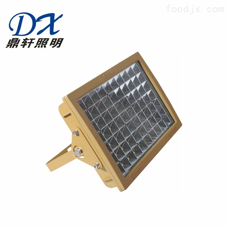 60W/70W鼎轩照明壁挂式LED免维护防爆灯