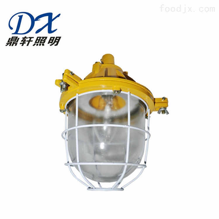BYC8170-150W厂用防爆灯壁挂式安装