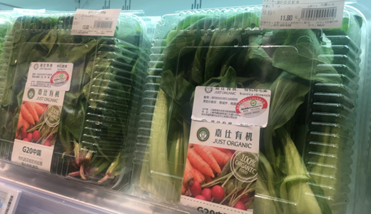 谷雨季节食野菜 净菜清洗、包装设备鼎力相助